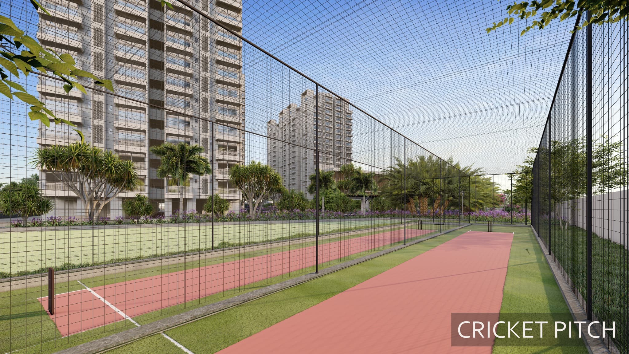 Cricket Pitch